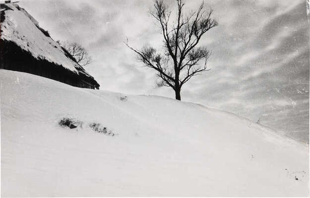Фотография «Есенинский мотив» / Фотограф Н. Хорунжий. [1950-е]. 41,4 × 26,4 см Сохранность отличная. Настоящий снимок был сделан на родине поэта Сергея Есенина - в деревне Константиново